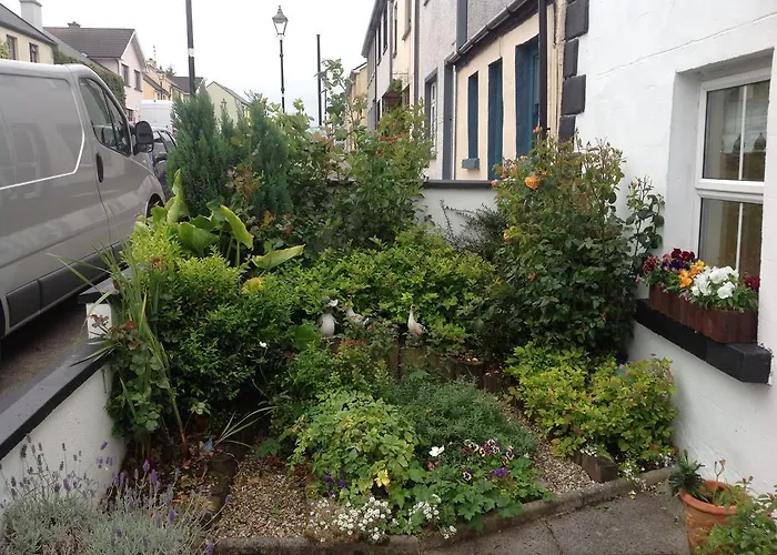 Drummin House Bed & Breakfast Westport